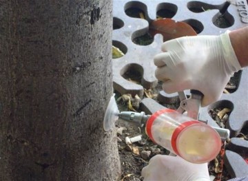 fotonoticia_20150715110412_800