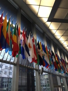 fotonoticia_20150720184426_800