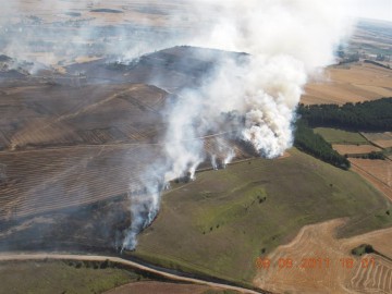 fotonoticia20150727114407800  El Digital de Asturias fotonoticia_20150727114407_800