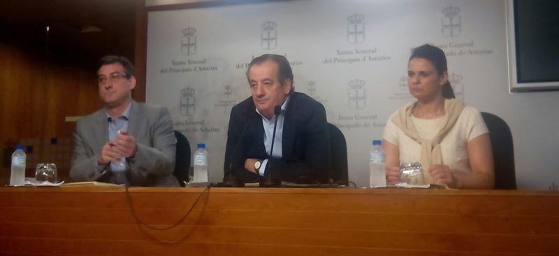 fotonoticia20150728110313800 El Digital de Asturias