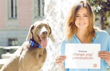 fotonoticia_20150807095410_800