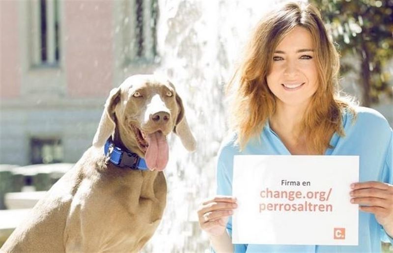 Sandra Barneda sigue su “cruzada” canina, con 21000 firmas más