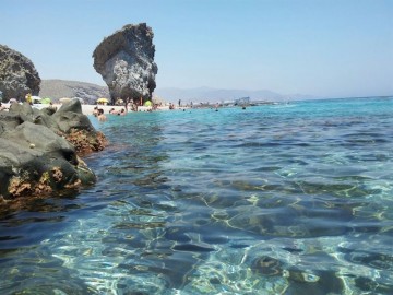 fotonoticia_20150812100550_800