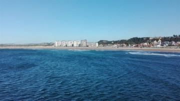 fotonoticia_20150812192509_800