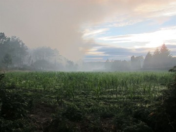 fotonoticia_20150813123844_800