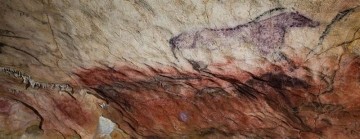 fotonoticia_20150905095946_800