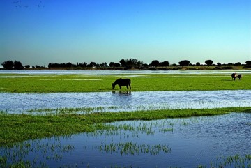 fotonoticia_20150907133433_800