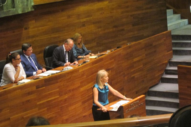 fotonoticia20150907182536800 El Digital de Asturias