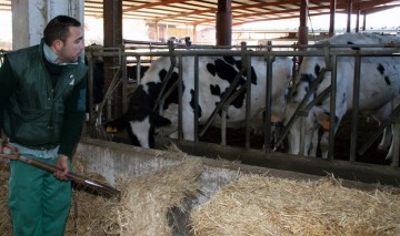 fotonoticia_20150909130836_800