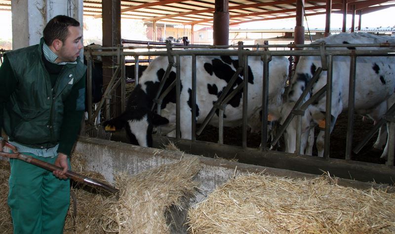 fotonoticia20150909130836800 El Digital de Asturias