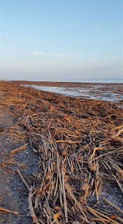 fotonoticia_20150909181538_800