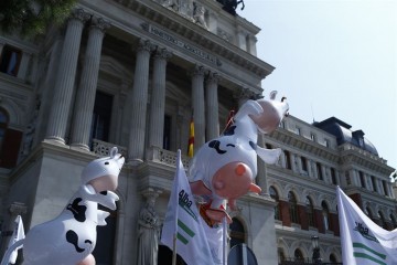 fotonoticia_20150909195213_800