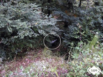 fotonoticia_20150910121141_800