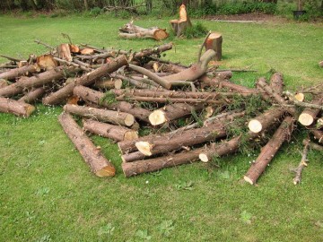 fotonoticia_20150918134426_800