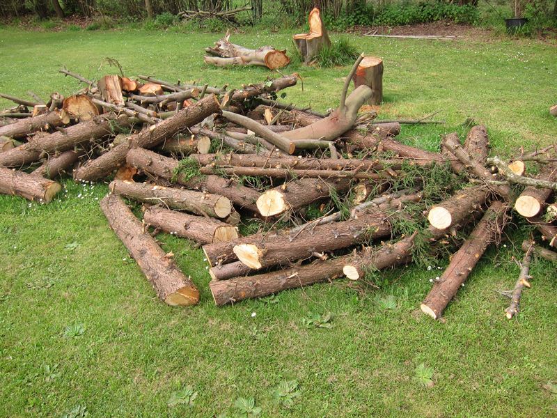 fotonoticia20150918134426800 El Digital de Asturias