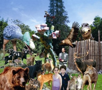 fotonoticia_20150925165813_800