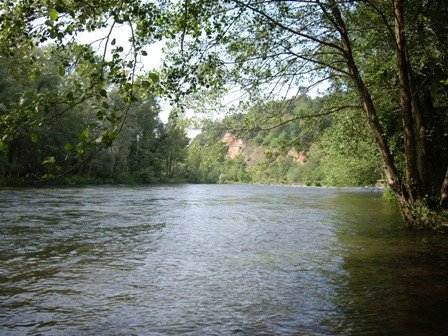 rio El Digital de Asturias