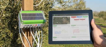 1445332446_Dinsa_bynse