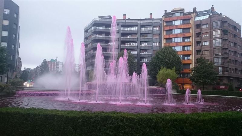 fotonoticia20151013102901800 El Digital de Asturias