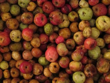 fotonoticia_20151024171241_800