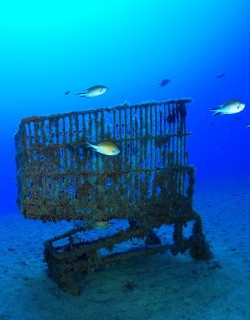 fotonoticia_20151025192446_800