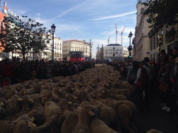 fotonoticia_20151026094933_800