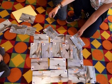 fotonoticia_20151027142053_800