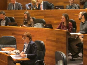 fotonoticia_20151112111652_800