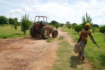 fotonoticia_20151112113644_800