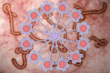 fotonoticia_20151112160302_800