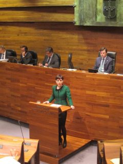 fotonoticia_20151113140722_800