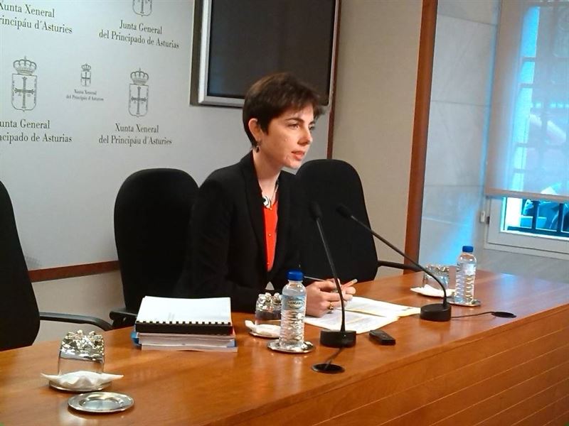 fotonoticia20151124125008800 El Digital de Asturias