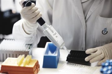 fotonoticia_20151124130417_800