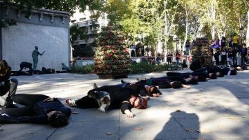 fotonoticia_20151124171659_800