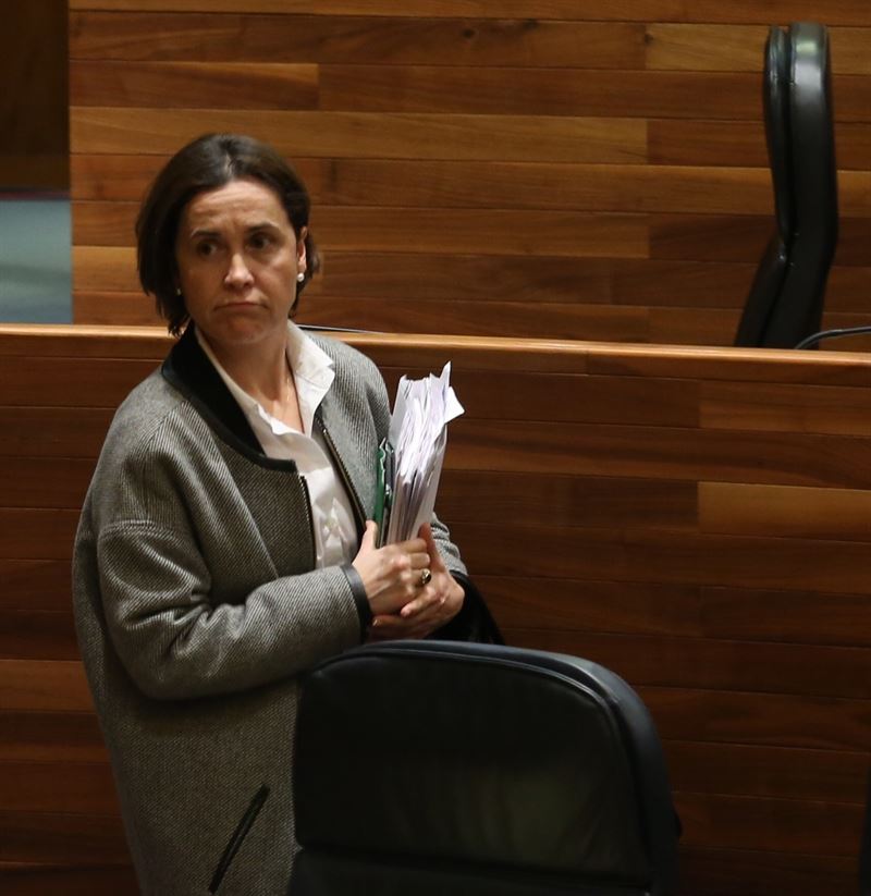 fotonoticia20151126145620800 El Digital de Asturias