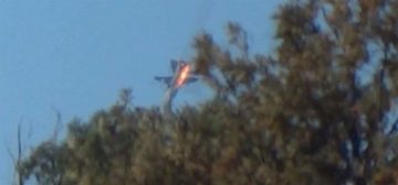 fotonoticia_20151126181257_800