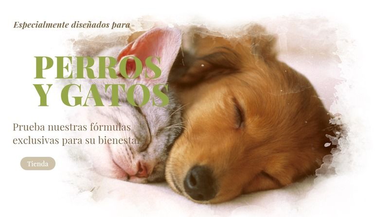 Mascota Zen ofrece tratamientos naturales para mascotas