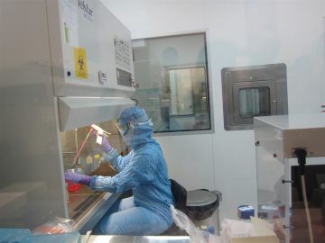 fotonoticia_20151221081035_800