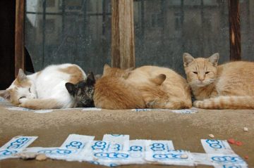 fotonoticia_20151224132223_800