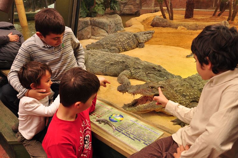 Faunia organiza un taller para niños sobre la tenencia responsable de mascotas exóticas