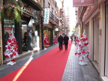 fotonoticia_20151230165741_800