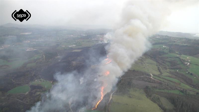 fotonoticia20160104134232800 El Digital de Asturias