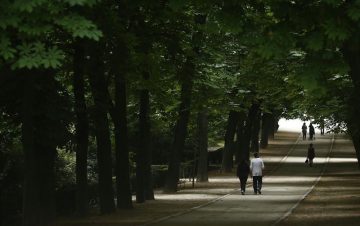 fotonoticia_20160104173635_800