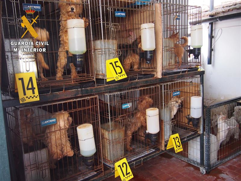 fotonoticia20160105115924800 El Digital de Asturias