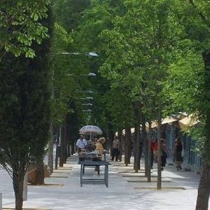 fotonoticia_20160105121948_800