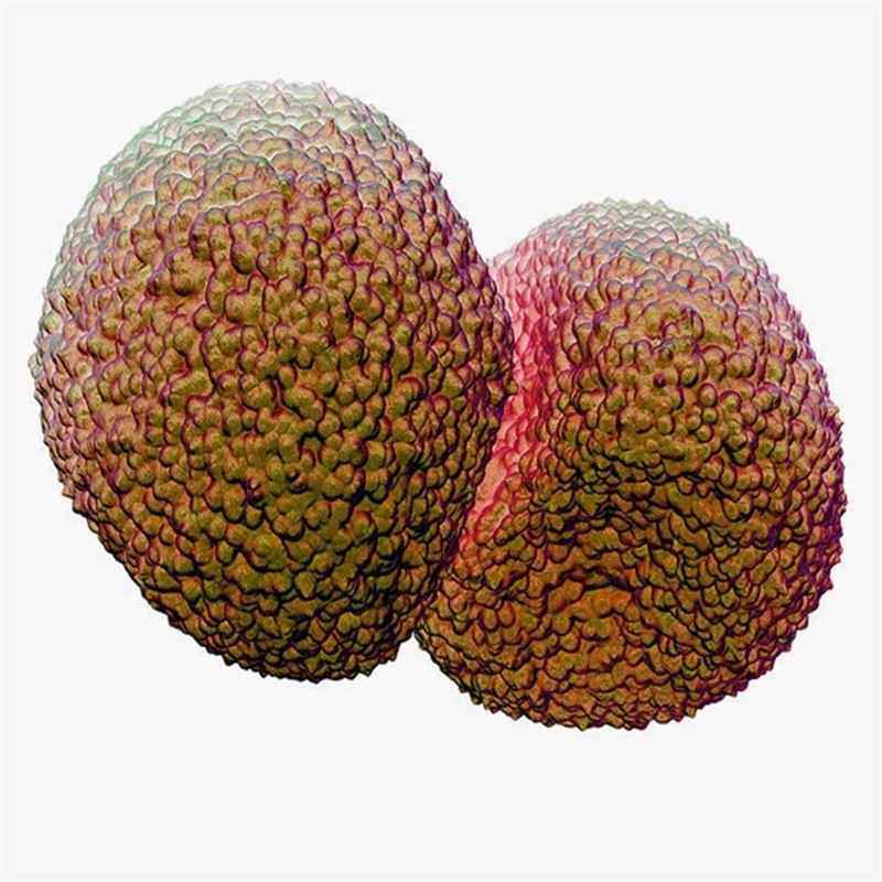 fotonoticia20160105165856800 El Digital de Asturias