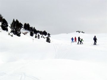 fotonoticia_20160107185156_800