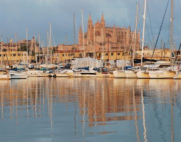 palma  El Digital de Asturias Palma