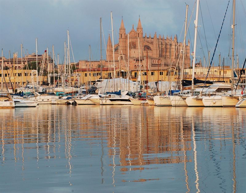 palma  El Digital de Asturias Palma