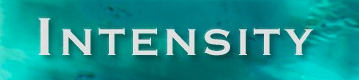 1455481066_Logo_Intensity